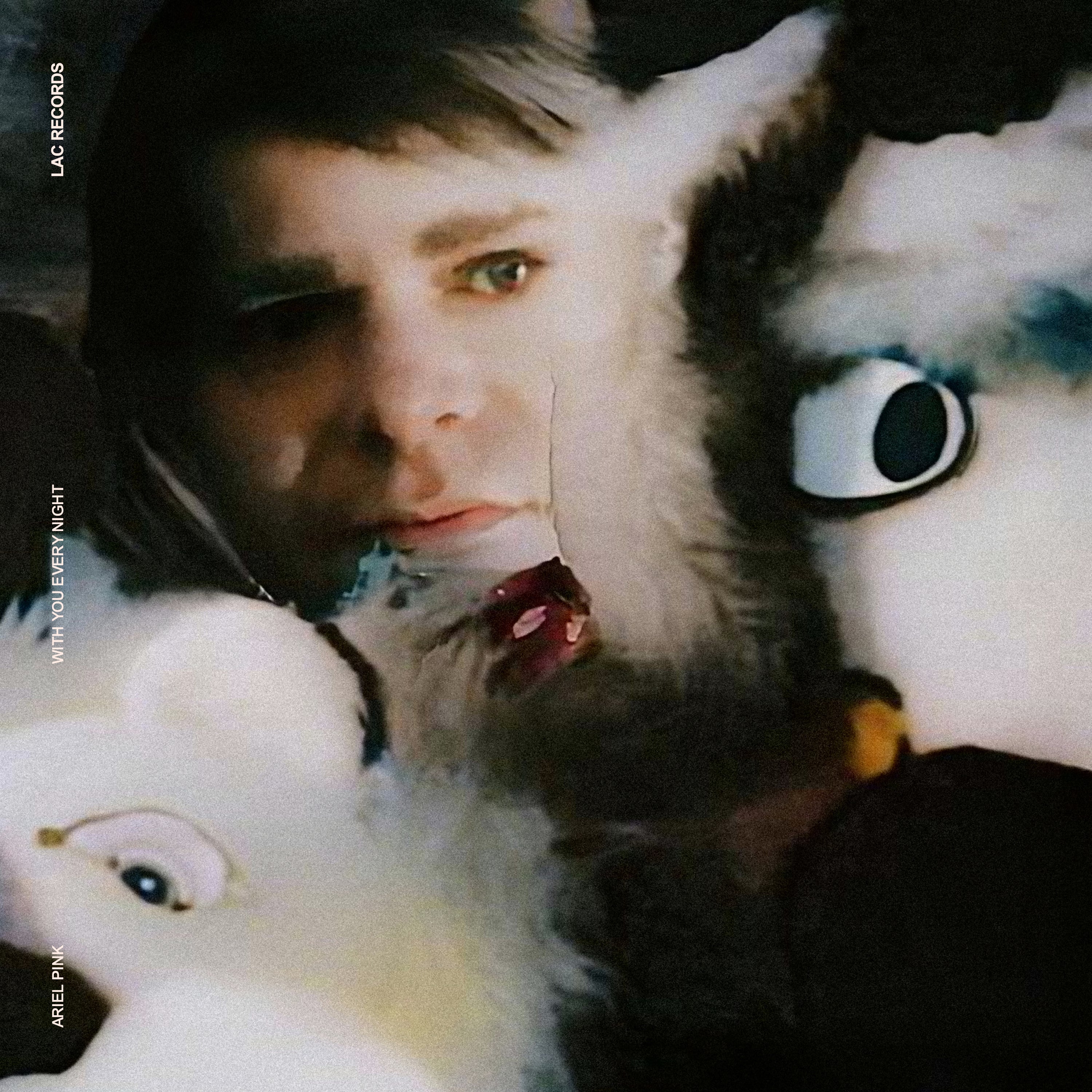 New Album - With You Every Night – ARIELPINK